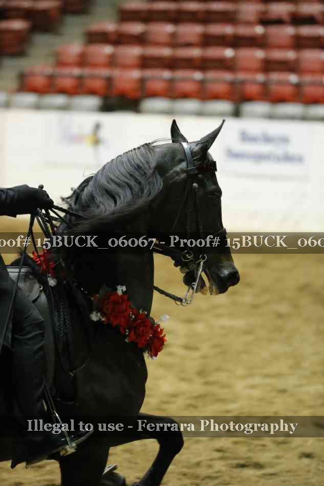 Proof Number 15BUCK_06067