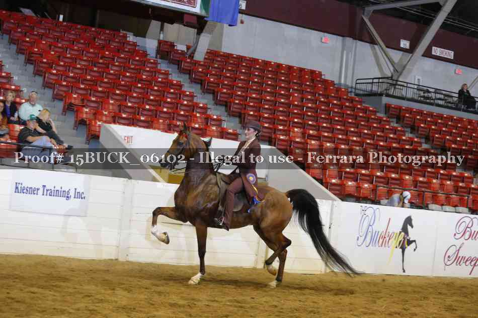 Proof Number 15BUCK_06102