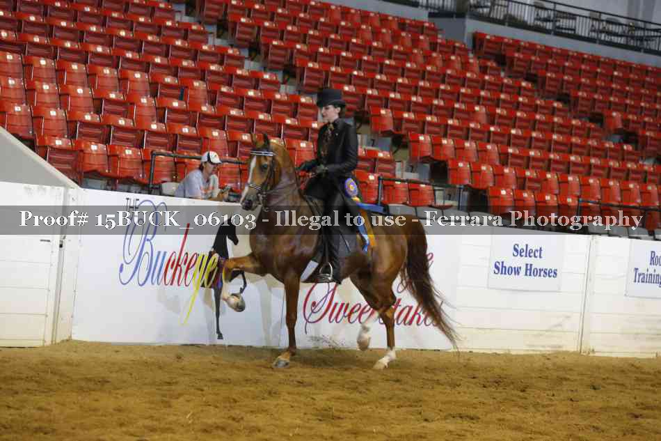 Proof Number 15BUCK_06103