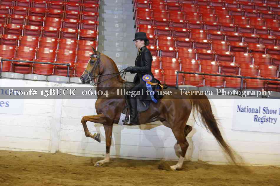Proof Number 15BUCK_06104