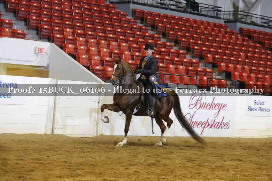 Proof Number 15BUCK_06106