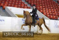15BUCK_06109 thumbnail