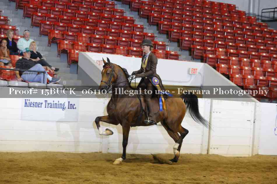 Proof Number 15BUCK_06110