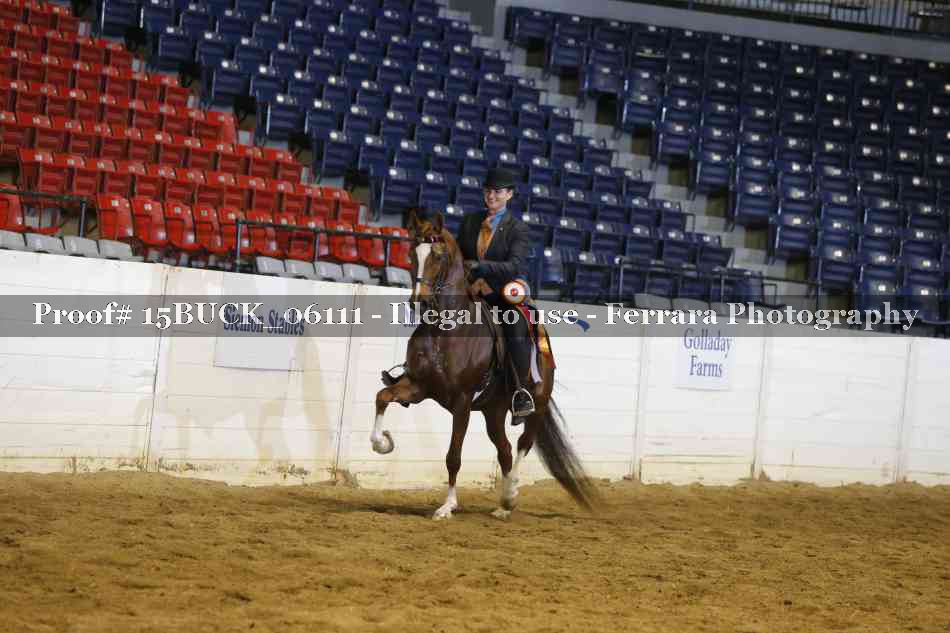 Proof Number 15BUCK_06111