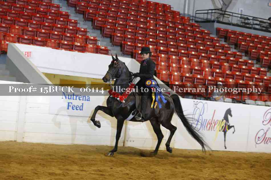 Proof Number 15BUCK_06114
