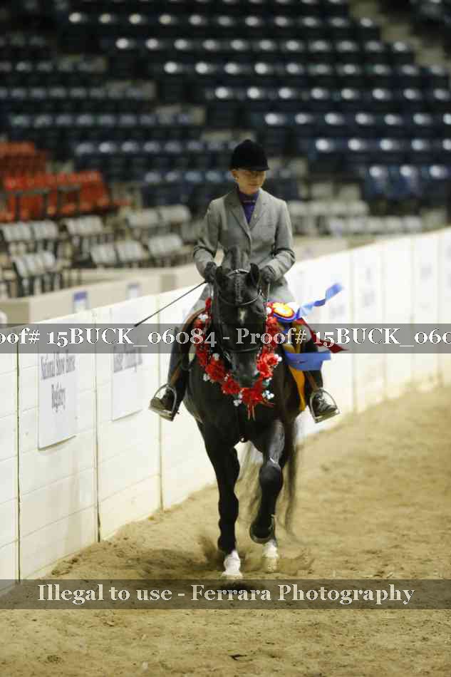 Proof Number 15BUCK_06084