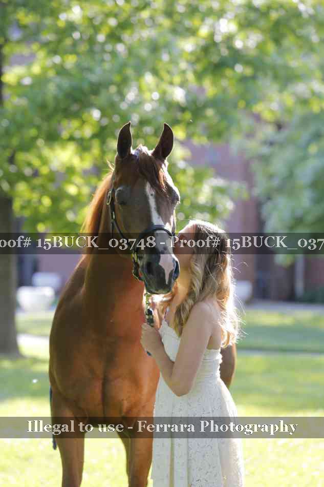 Proof Number 15BUCK_03748