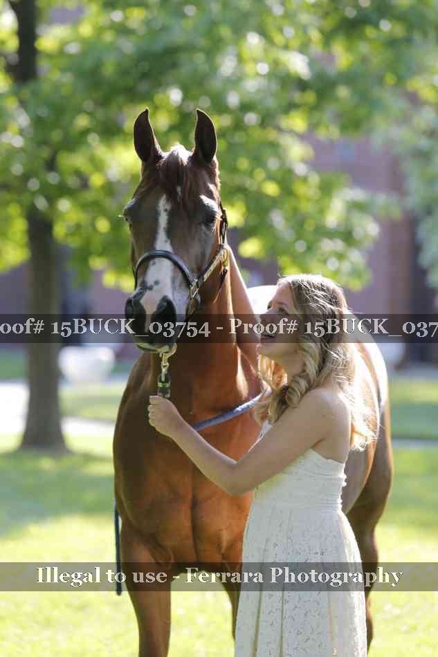 Proof Number 15BUCK_03754