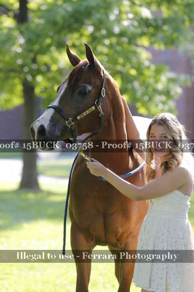 Proof Number 15BUCK_03758