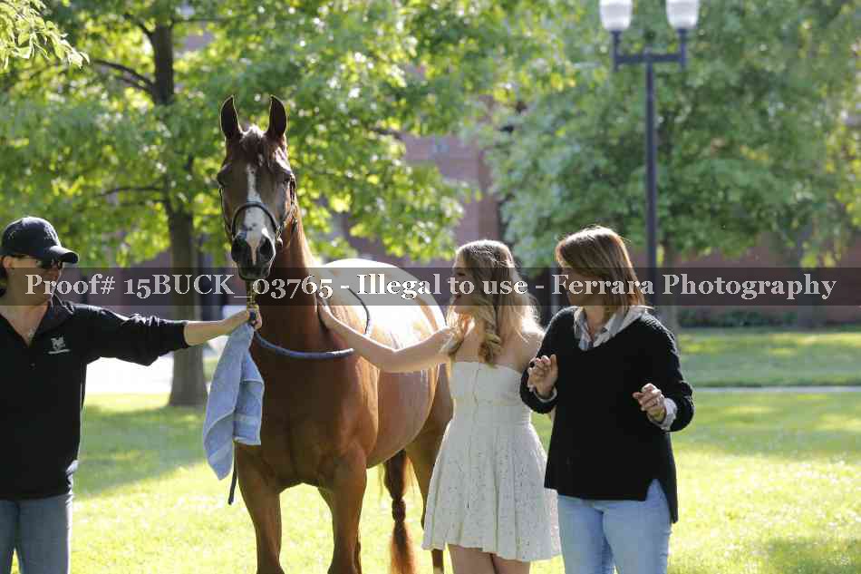 Proof Number 15BUCK_03765