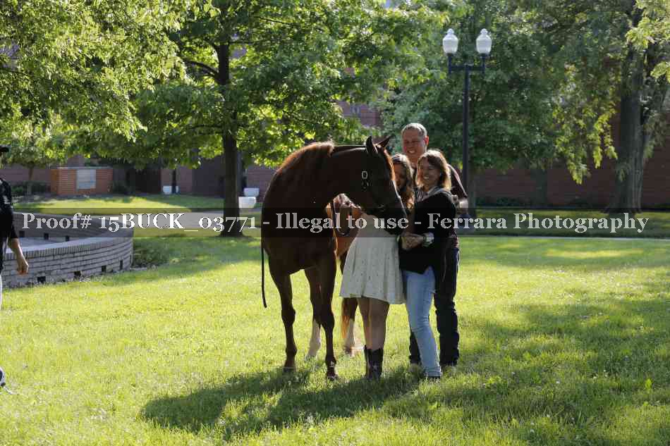 Proof Number 15BUCK_03771