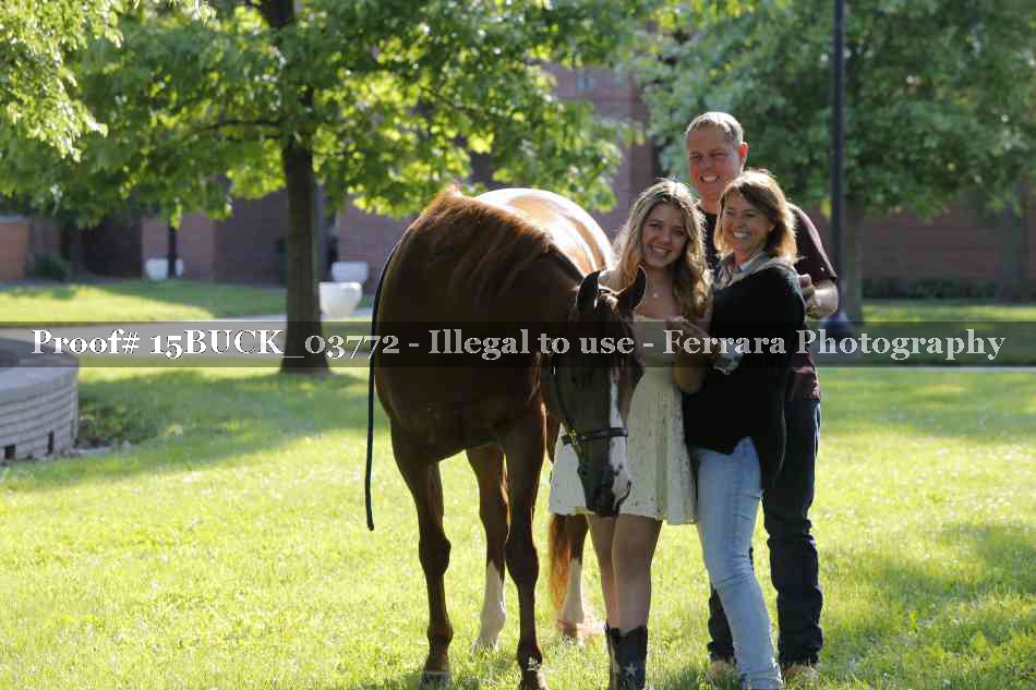 Proof Number 15BUCK_03772