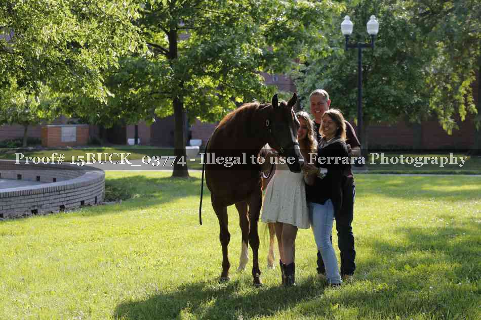 Proof Number 15BUCK_03774