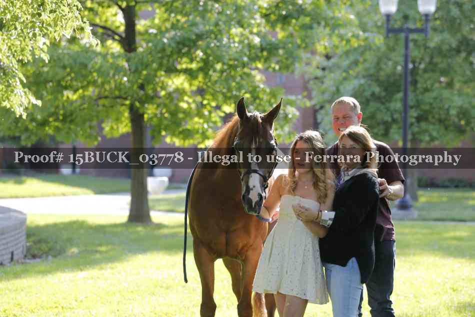 Proof Number 15BUCK_03778