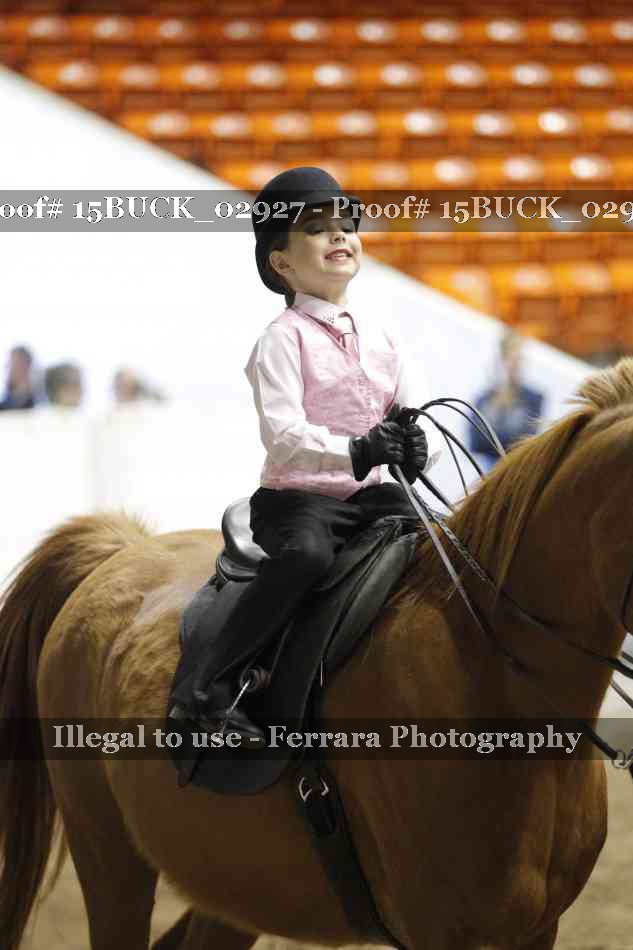 Proof Number 15BUCK_02927