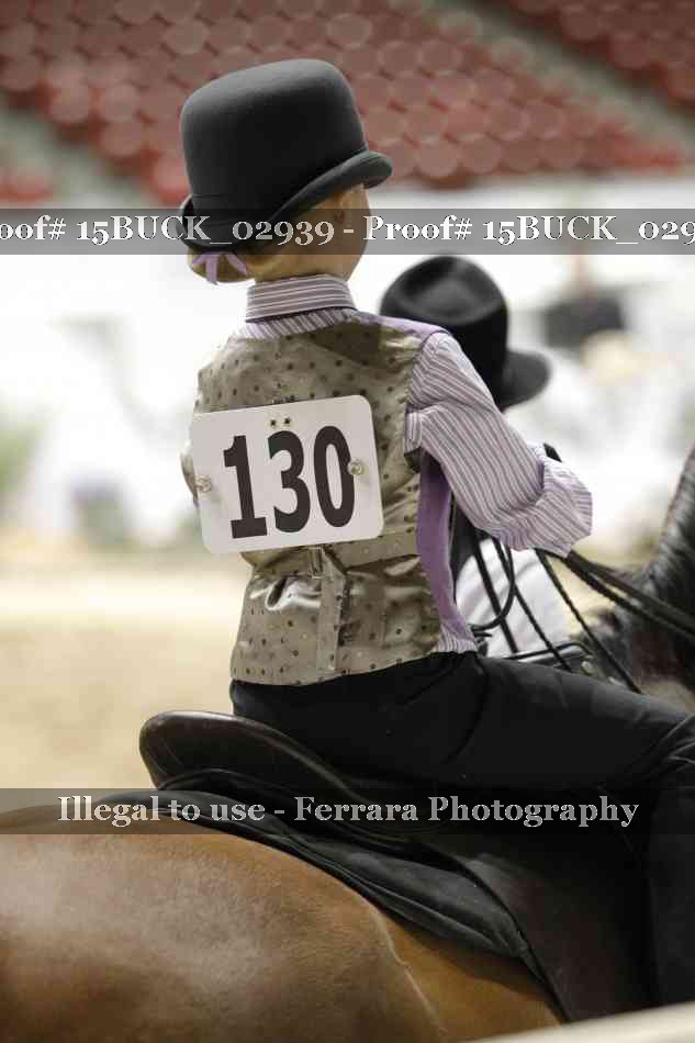 Proof Number 15BUCK_02939
