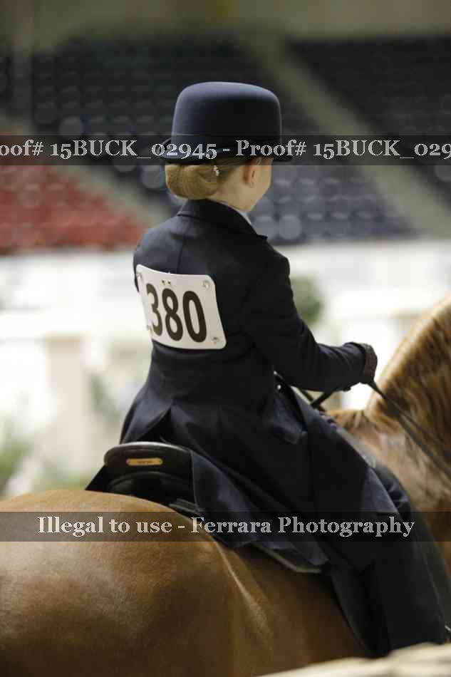 Proof Number 15BUCK_02945