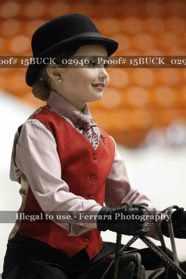 Proof Number 15BUCK_02946
