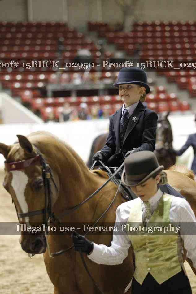 Proof Number 15BUCK_02950