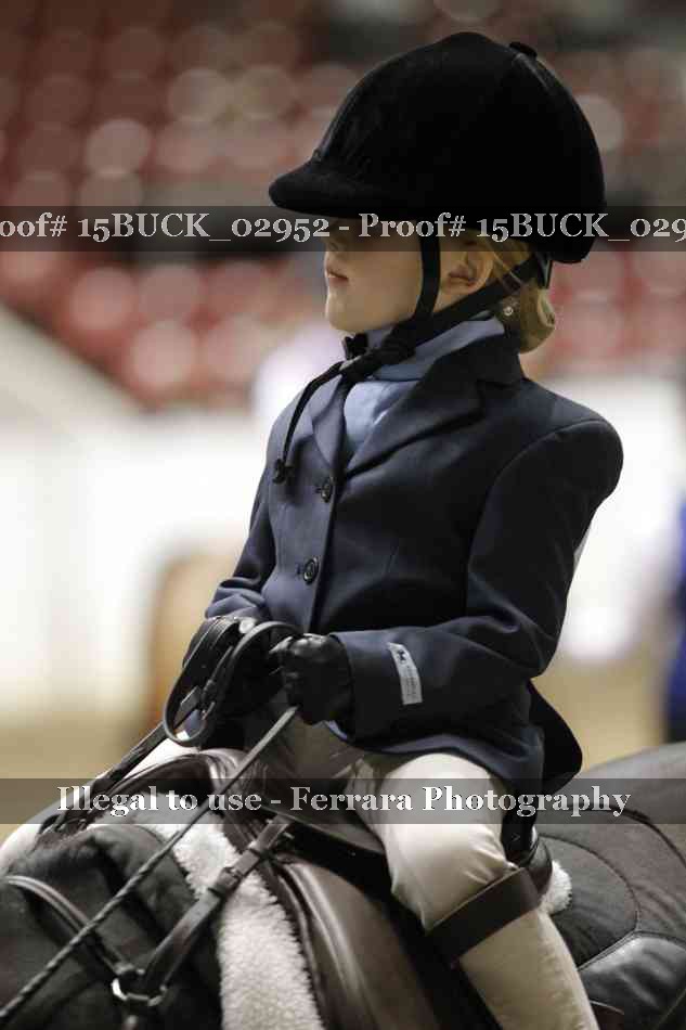 Proof Number 15BUCK_02952
