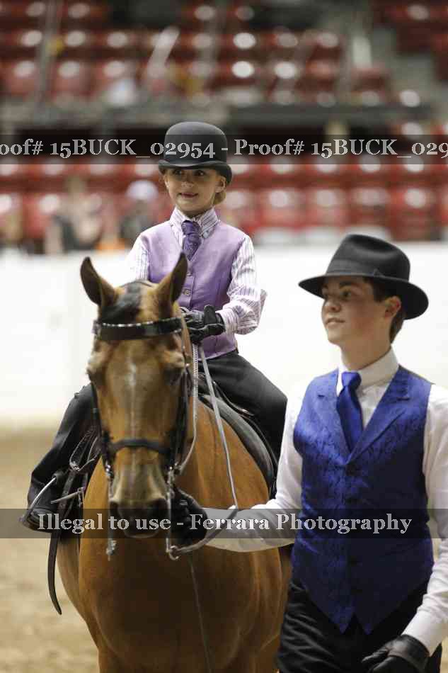 Proof Number 15BUCK_02954
