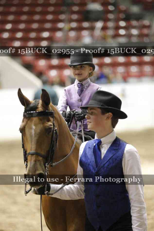 Proof Number 15BUCK_02955