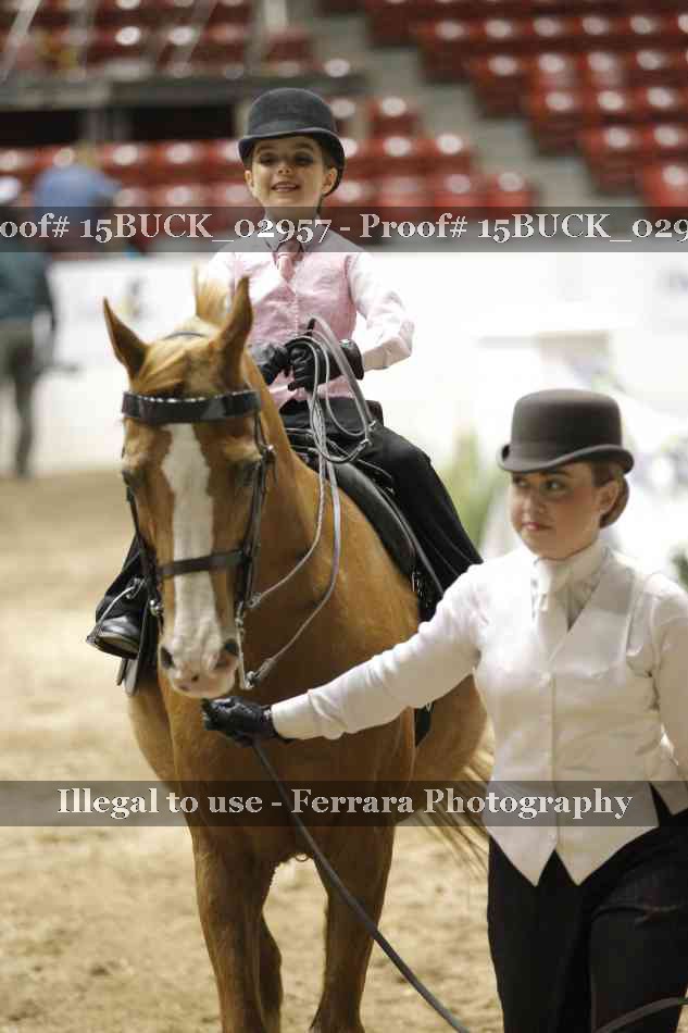 Proof Number 15BUCK_02957