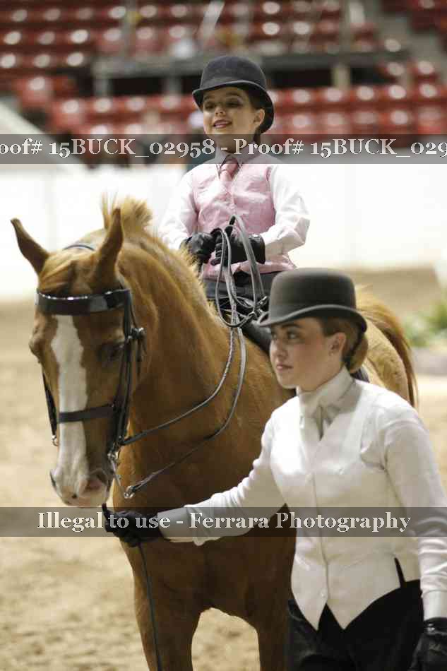 Proof Number 15BUCK_02958