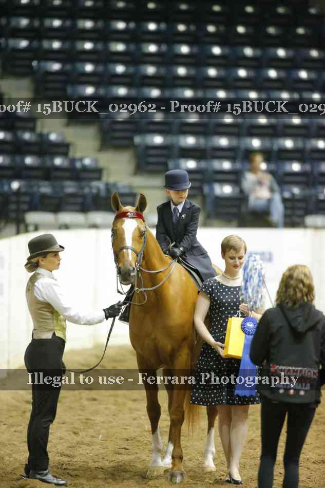 Proof Number 15BUCK_02962