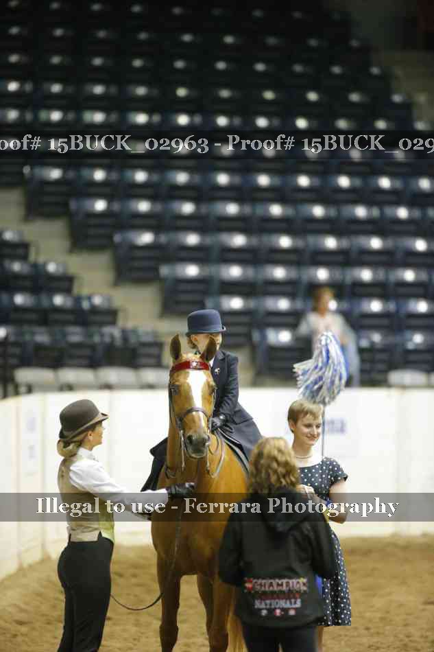 Proof Number 15BUCK_02963