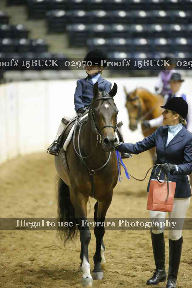 Proof Number 15BUCK_02970