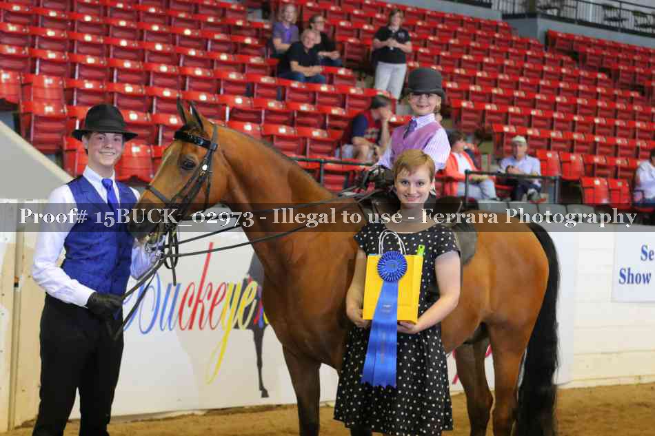 Proof Number 15BUCK_02973