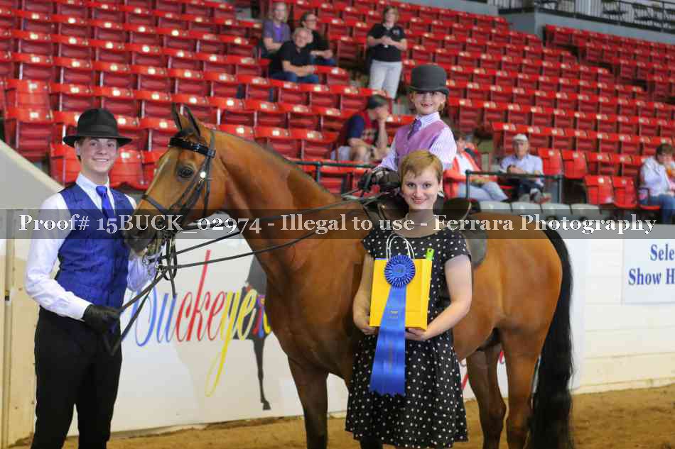 Proof Number 15BUCK_02974