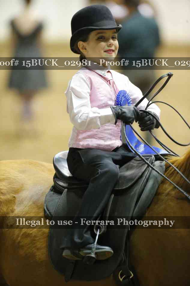 Proof Number 15BUCK_02981
