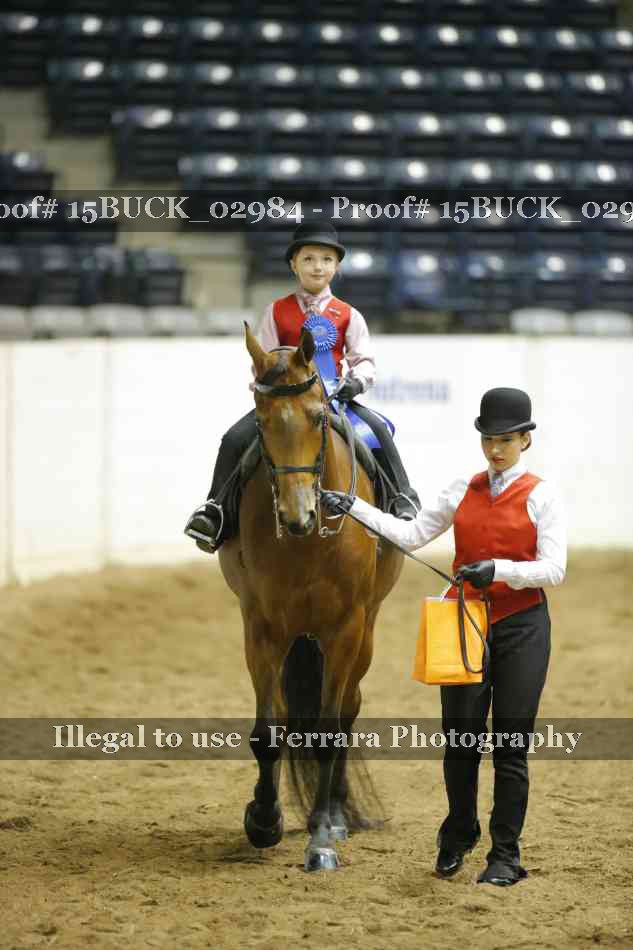 Proof Number 15BUCK_02984