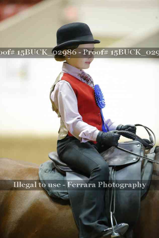 Proof Number 15BUCK_02986