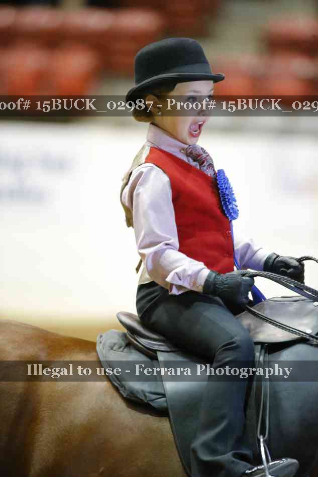 Proof Number 15BUCK_02987