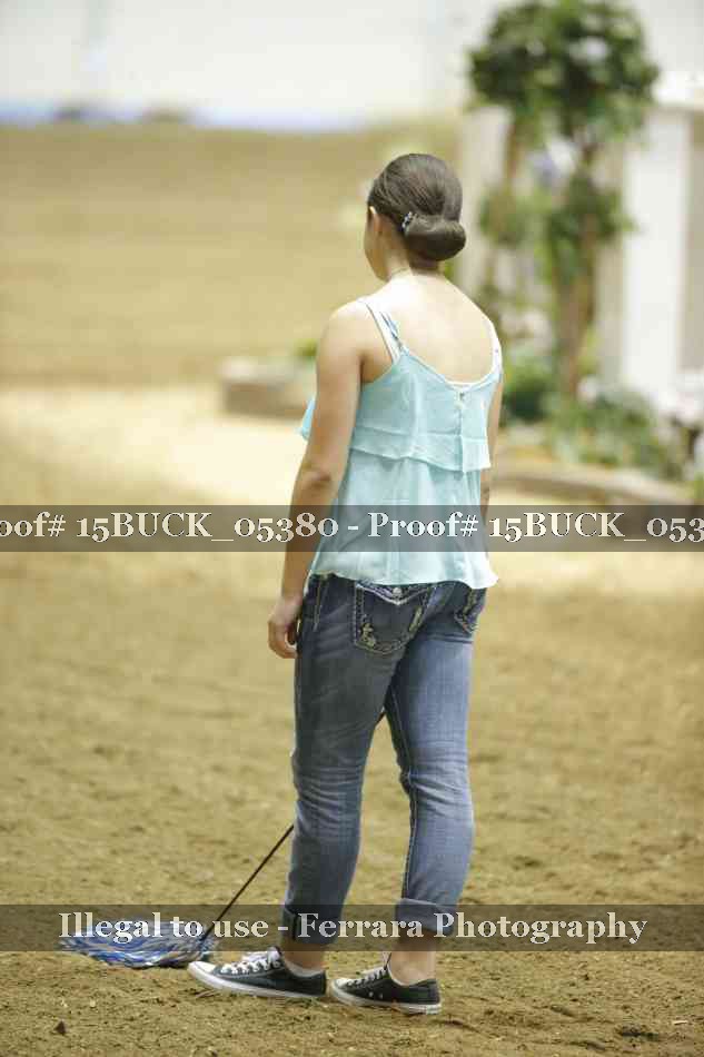 Proof Number 15BUCK_05380