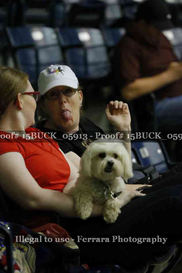 Proof Number 15BUCK_05913