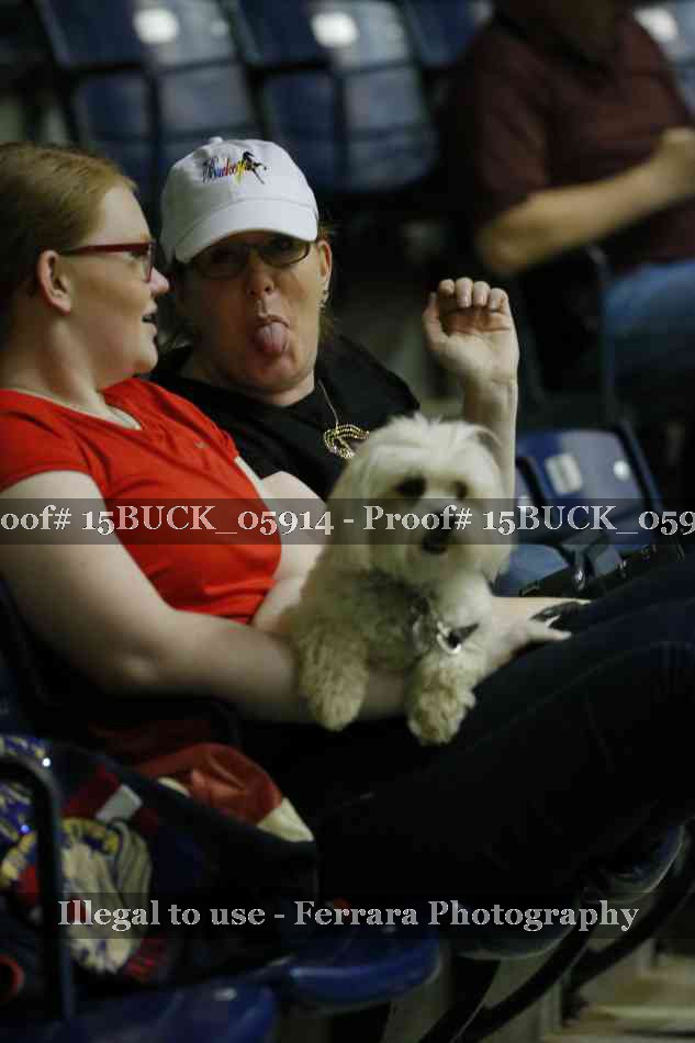 Proof Number 15BUCK_05914