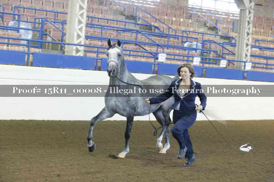 Proof Number 15R11_00008