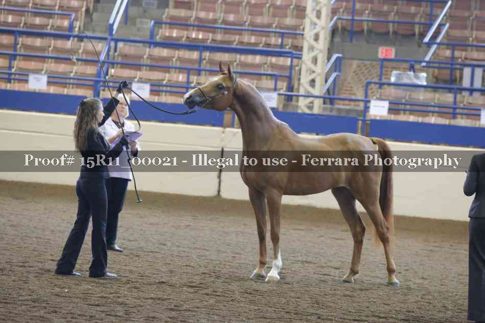 Proof Number 15R11_00021