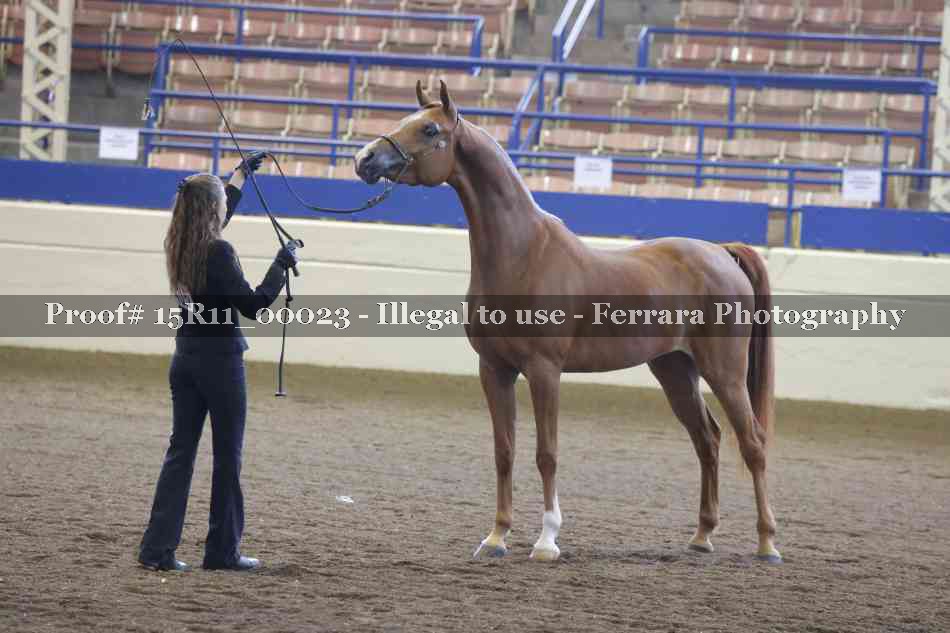 Proof Number 15R11_00023