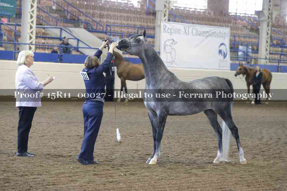 Proof Number 15R11_00027