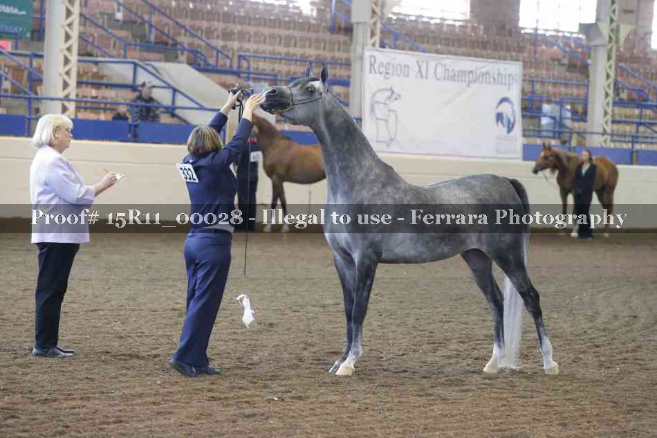 Proof Number 15R11_00028