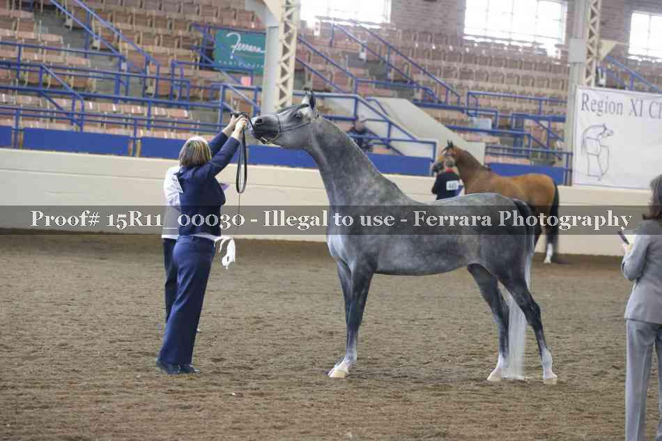 Proof Number 15R11_00030
