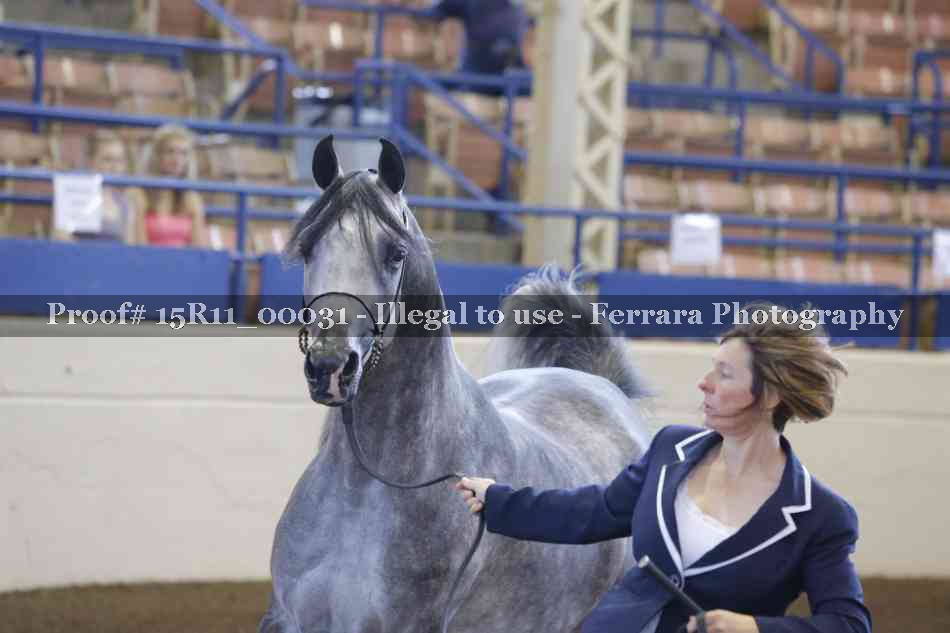 Proof Number 15R11_00031