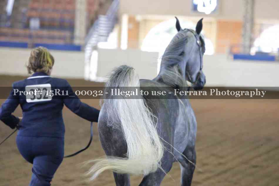 Proof Number 15R11_00032