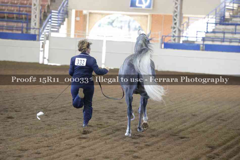 Proof Number 15R11_00033