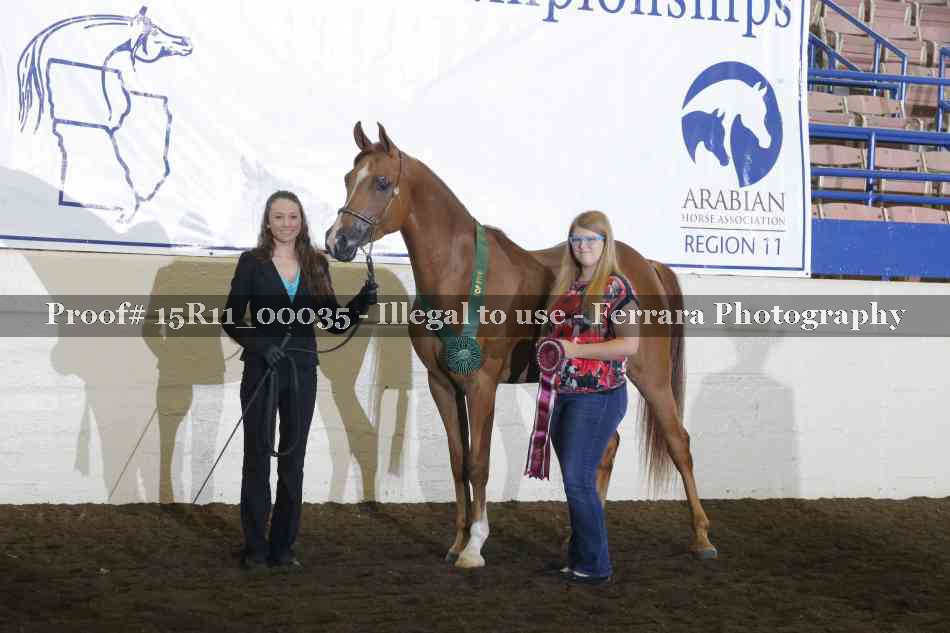 Proof Number 15R11_00035